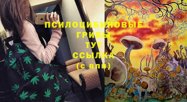 героин Алзамай