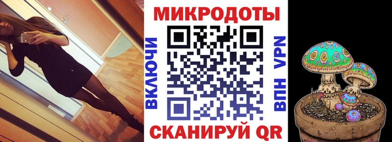 Псилоцибиновые грибы Psilocybe Цимлянск