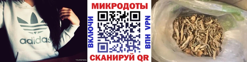 закладки  MEGA сайт  Псилоцибиновые грибы Psilocybe  Цимлянск 